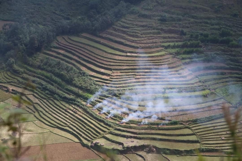 ruc ro nhung sac hoa tren cao nguyen da ha giang