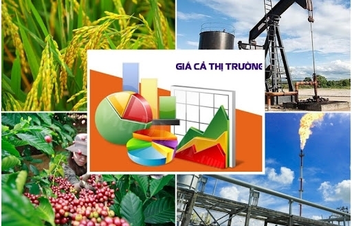 Đã đến lúc cần sửa Luật Giá