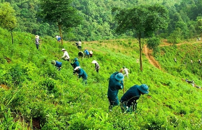 Sẽ có quy định mức hỗ trợ trong công tác bảo vệ rừng đối với từng loại rừng