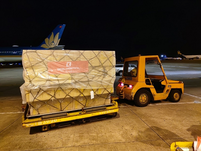 bee logistics nhieu sang kien trong van chuyen hang hoa tu ha noi sang chau au