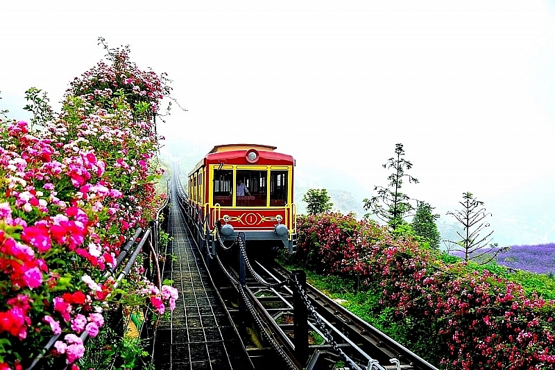 trai nghiem thung lung hoa hong tuyet dep tai sapa