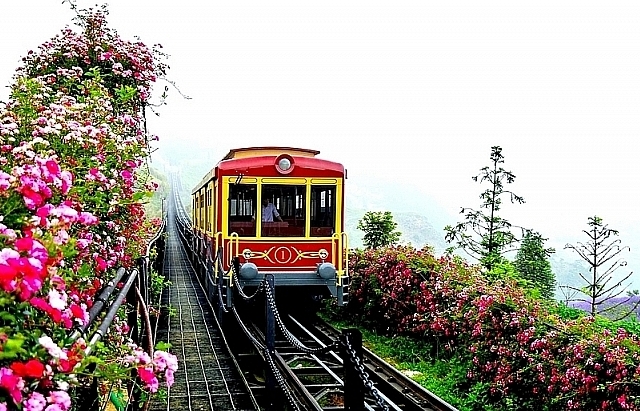 Trải nghiệm thung lũng hoa hồng tuyệt đẹp tại Sapa