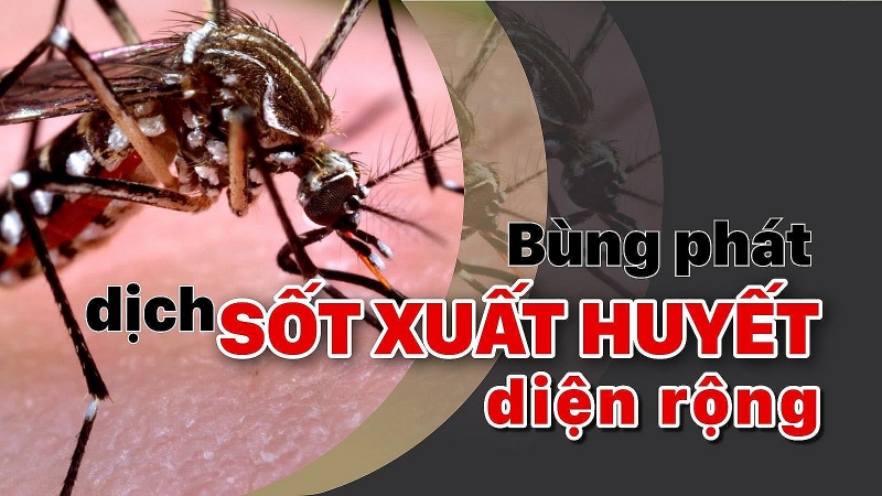 chi thi khan chong dich sot xuat huyet