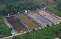 pho bi thu hoa binh dung ngoai nha may nuoc song da thay mui khet nhu cao su