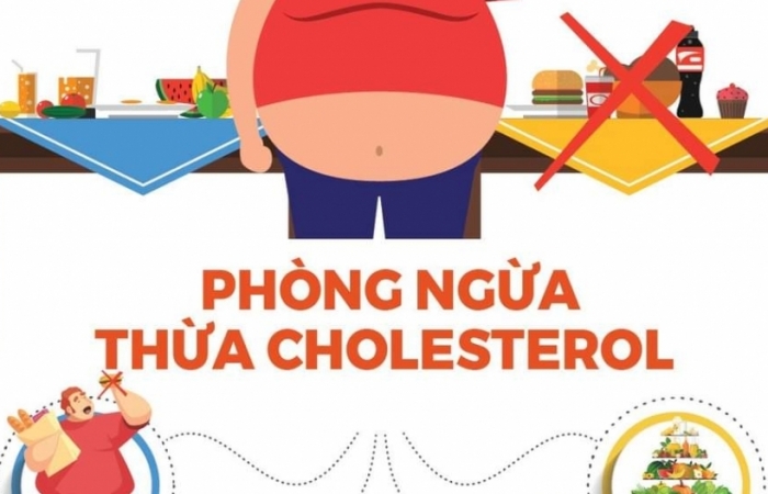 Phát động “Tháng hành động đẩy lùi tình trạng thừa Cholesterol trong cơ thể”