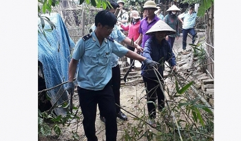 Hải quan Hà Tĩnh: Nhiều hoạt động ý nghĩa nhân ngày thành lập đoàn