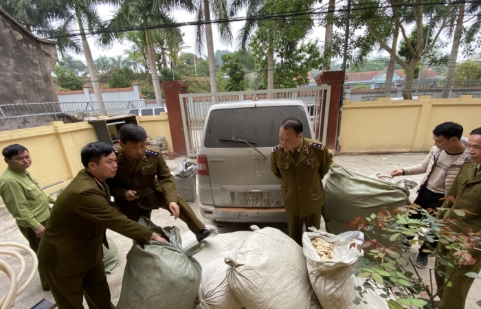 Chặn đứng 225 kg nguyên liệu thuốc bắc nhập lậu đang vận chuyển đi tiêu thụ