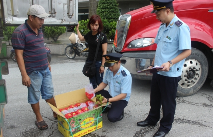 Lạng Sơn: Triển khai các giải pháp hỗ trợ thanh long tươi xuất khẩu