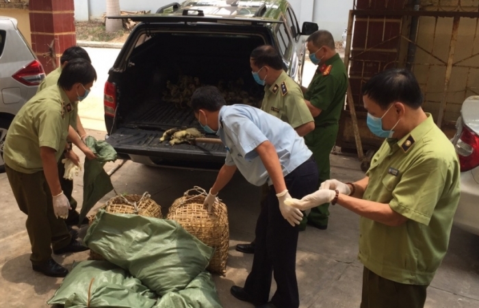 Lo dịch bệnh tràn vào, xử nghiêm hành vi nhập lậu gia cầm