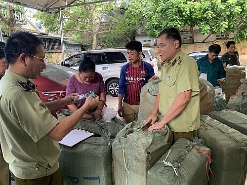 lang son bat giu lo quan ao nu made in vietnam