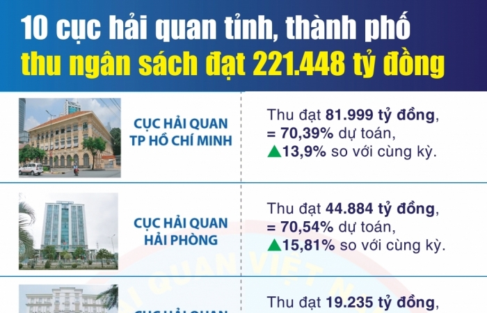 Infographics: 10 cục hải quan tỉnh, thành phố thu ngân sách đạt 221.448 tỷ đồng