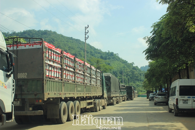 lang son dua giai phap giam un u nong san tai cua khau tan thanh