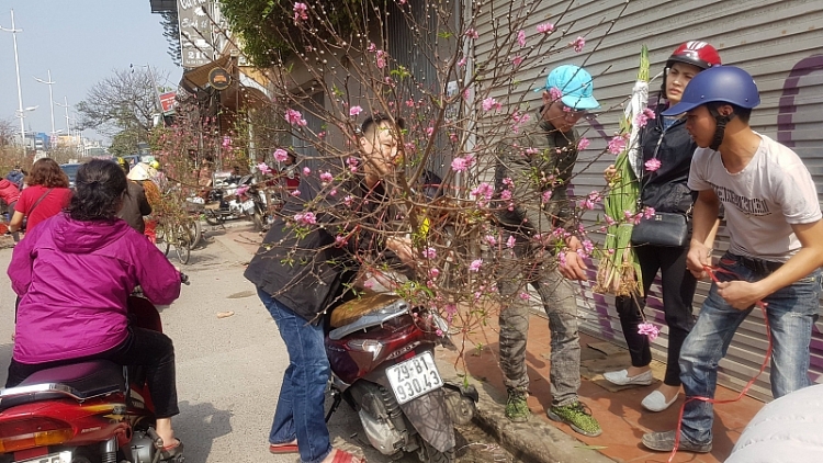 ngop troi sac dao xuan ngay giap tet