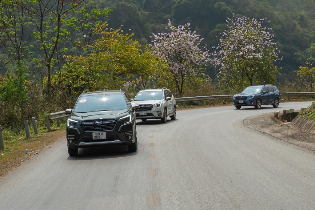 Ấn tượng với trải nghiệm lái Subaru Forester 2023