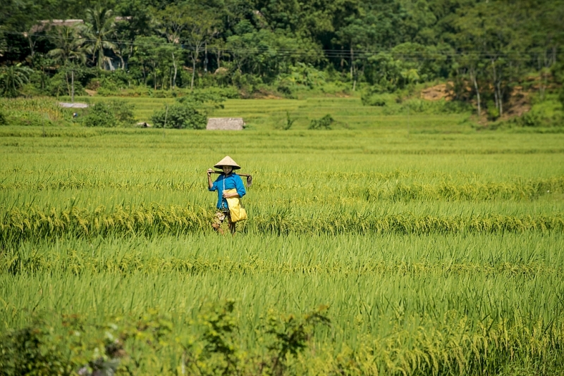 pu luong thien duong xanh gan ke ha noi