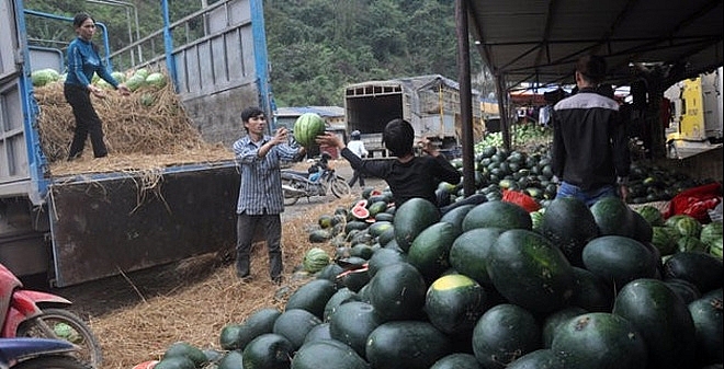 xuat khau dua hau sang trung quoc doi mat them kho khan