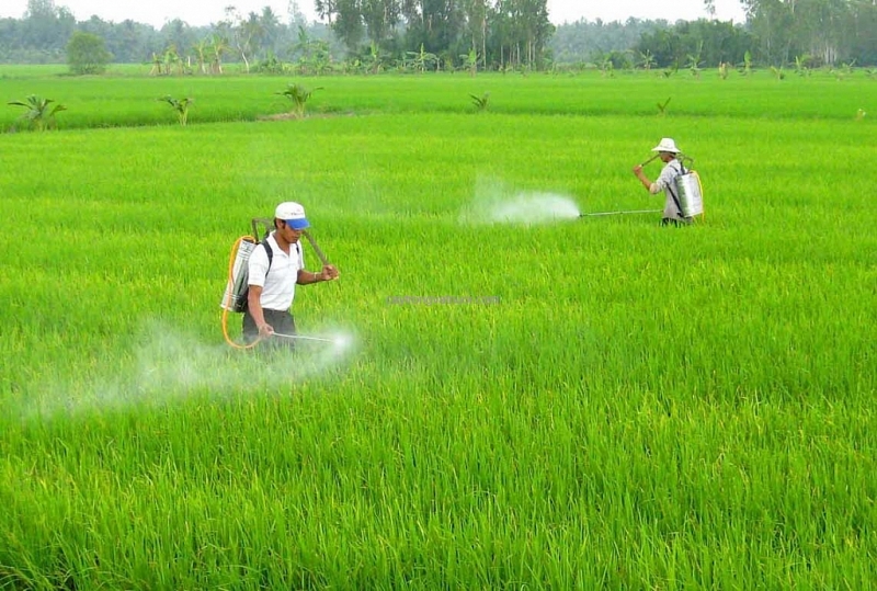 loai glyphosate khoi danh muc thuoc bao ve thuc vat duoc phep su dung