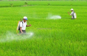 Loại Glyphosate khỏi danh mục thuốc bảo vệ thực vật được phép sử dụng