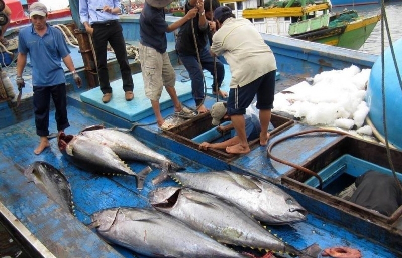 Không đủ quyết liệt, 'thẻ vàng' IUU có nguy cơ thành 'thẻ đỏ'?