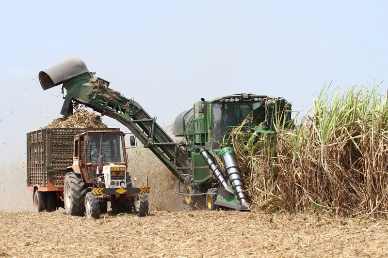 ttc sugar day manh xuat khau duong sang eu trung quoc