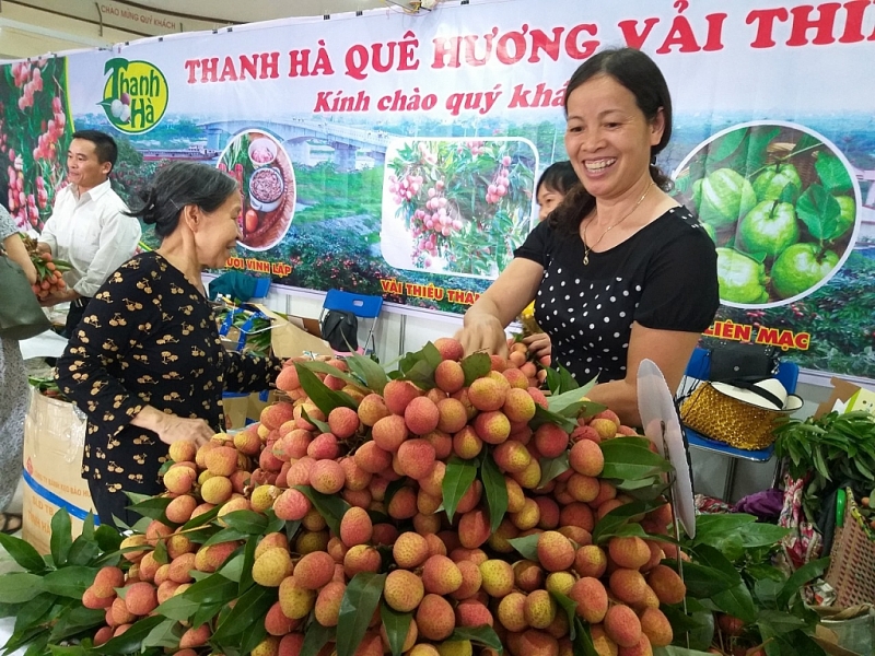 vai thanh ha tien ve thu do ngon tung qua gia chi 40000 dongkg