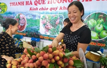 Vải Thanh Hà tiến về Thủ đô, ngon từng quả giá chỉ 40.000 đồng/kg