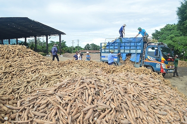 Cần rà soát, xác minh đảm bảo công tác hoàn thuế GTGT đúng quy định