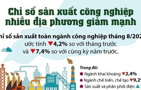 Infographics: Chỉ số sản xuất công nghiệp nhiều địa phương giảm mạnh