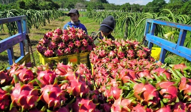 Trung Quốc thay đổi quyết liệt, doanh nghiệp phải bỏ thói quen buôn bán thời vụ