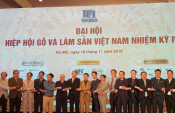 Lãnh đạo ngành lâm nghiệp làm Phó Chủ tịch Vifores