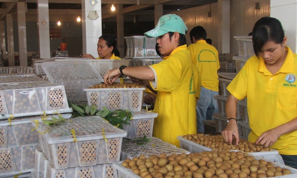 Mở cửa thị trường cho loạt nông sản vào Trung Quốc, Nhật Bản, New Zealand