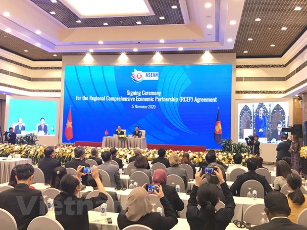 'Cung voi CPTPP, RCEP mang lai 2 mo hinh kinh te rat ly tuong' hinh anh 3