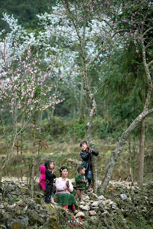 mua xuan o vuong quoc da