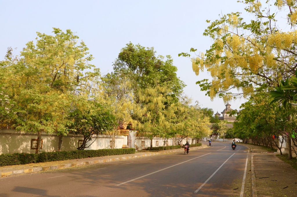 tet lao vang ve vi covid 19 hoa dok khun van no vang ruc vieng chan