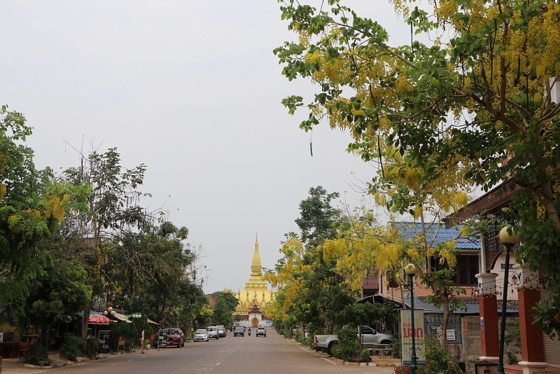 tet lao vang ve vi covid 19 hoa dok khun van no vang ruc vieng chan