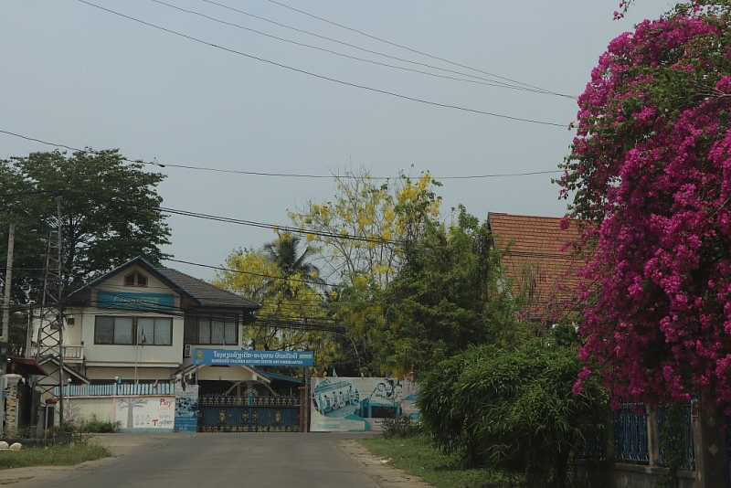 tet lao vang ve vi covid 19 hoa dok khun van no vang ruc vieng chan