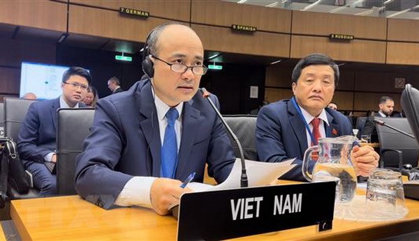 Viet Nam tai khang dinh chu truong ung ho 3 tru cot chinh cua IAEA hinh anh 2