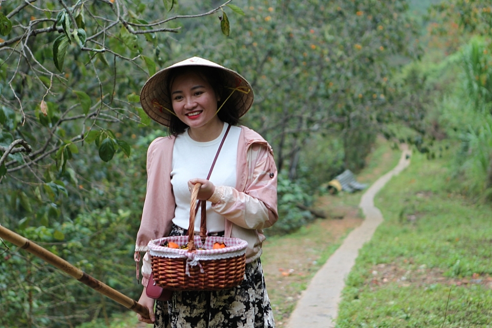 Đà Lạt ngọt ngào mùa hồng chín