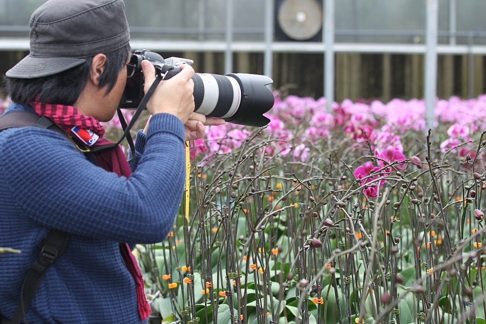 YSA Orchid Farm: Nơi ngàn đóa lan khoe sắc