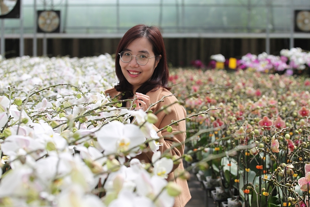 YSA Orchid Farm: Nơi ngàn đóa lan khoe sắc