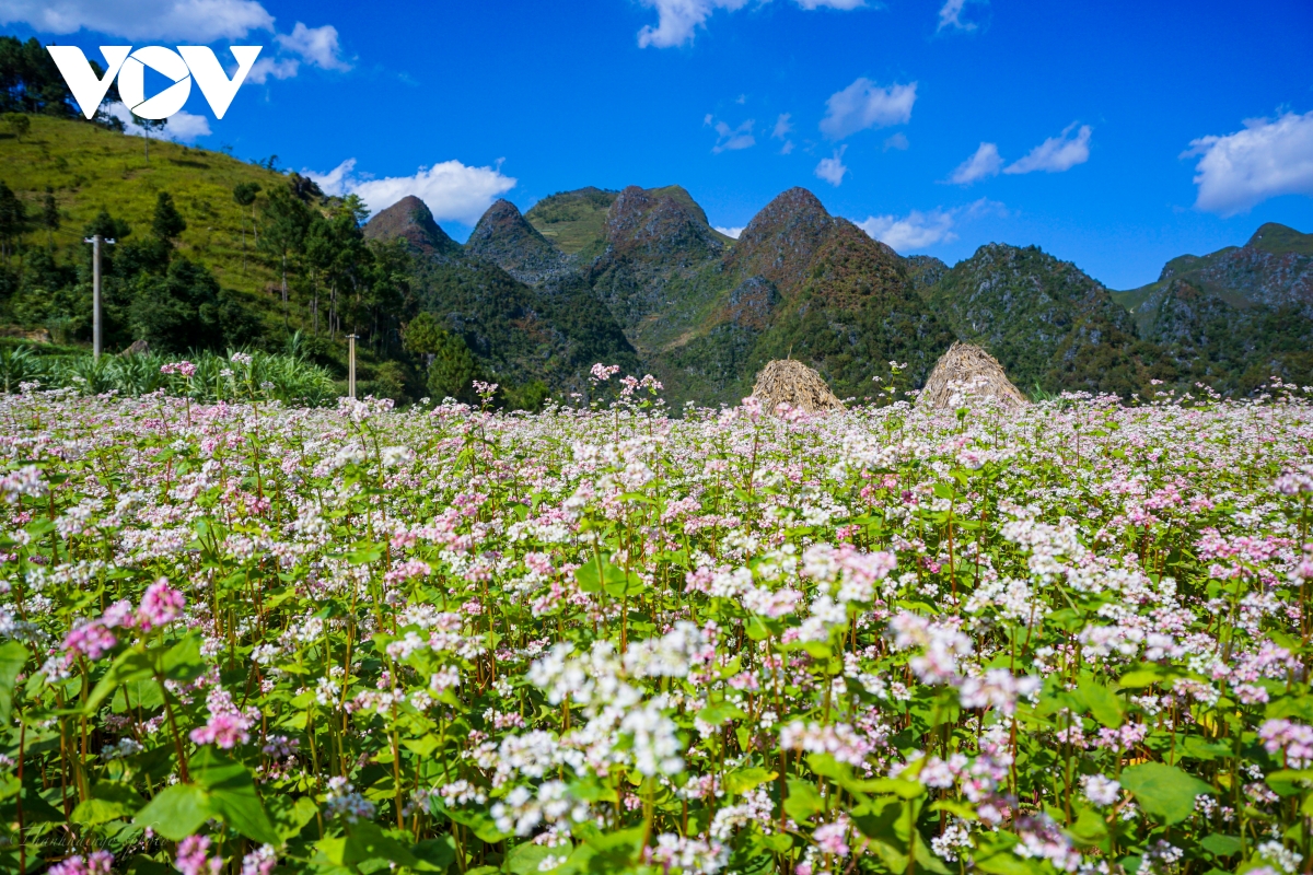 Mùa thu lên Hà Giang 