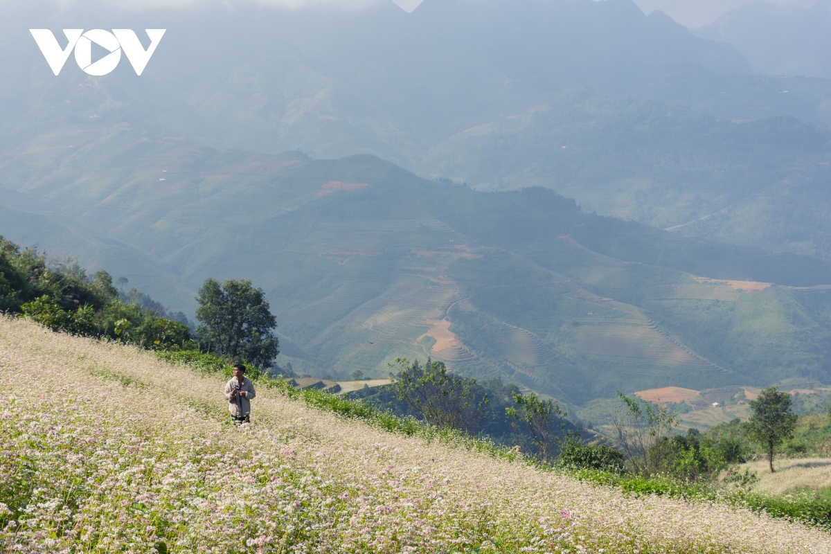 Mùa thu lên Hà Giang 