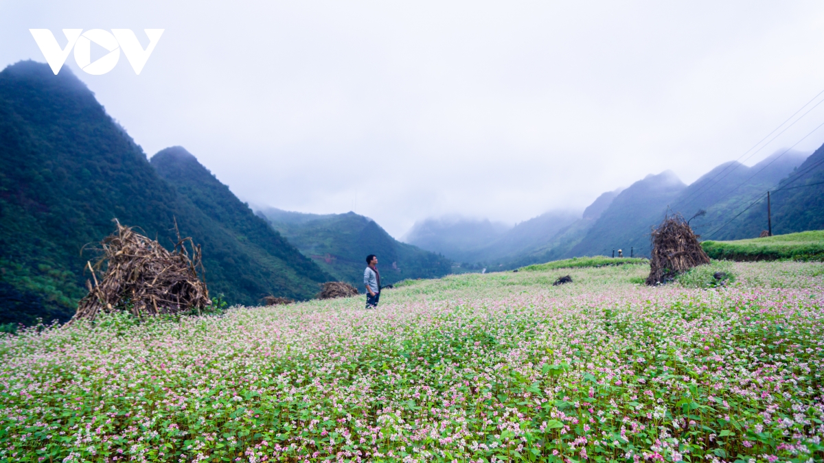 Mùa thu lên Hà Giang 