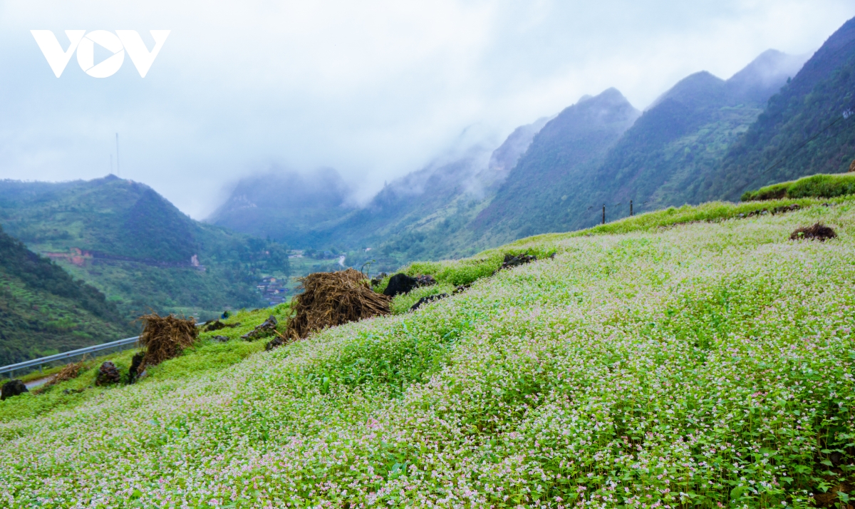 Mùa thu lên Hà Giang 