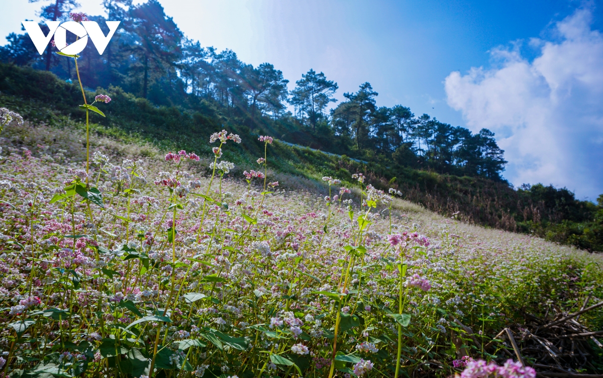 Mùa thu lên Hà Giang 