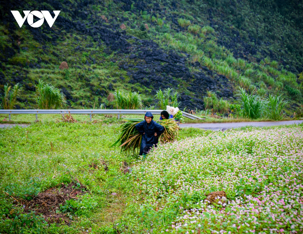 Mùa thu lên Hà Giang 