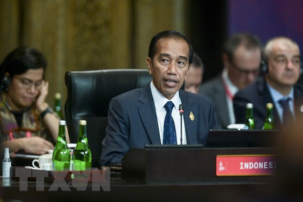 G20: Indonesia keu goi dong gop them cho Quy phong chong dai dich hinh anh 1