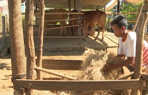 Kế hoạch thực hiện chỉ thị của Ban Bí thư về giảm nghèo bền vững