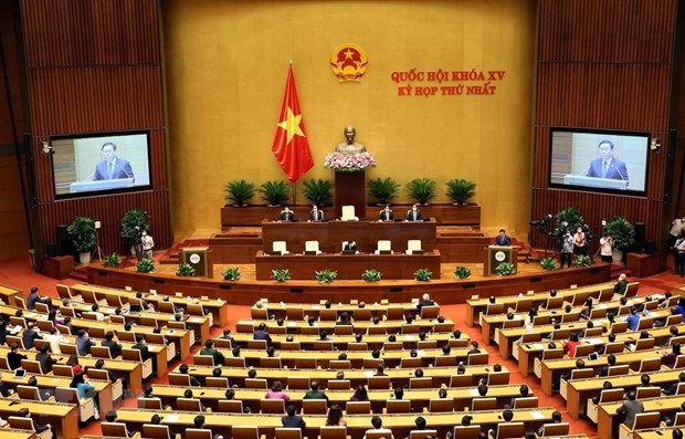 Nhin lai nam 2021: Quoc hoi nang dong, doi moi, hanh dong vi dan hinh anh 2